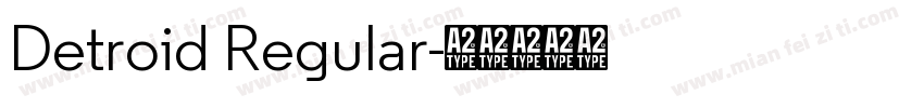 Detroid Regular字体转换